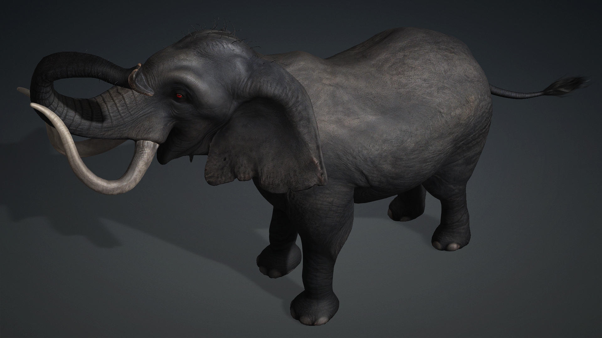 Elephant_A3 - Image 11