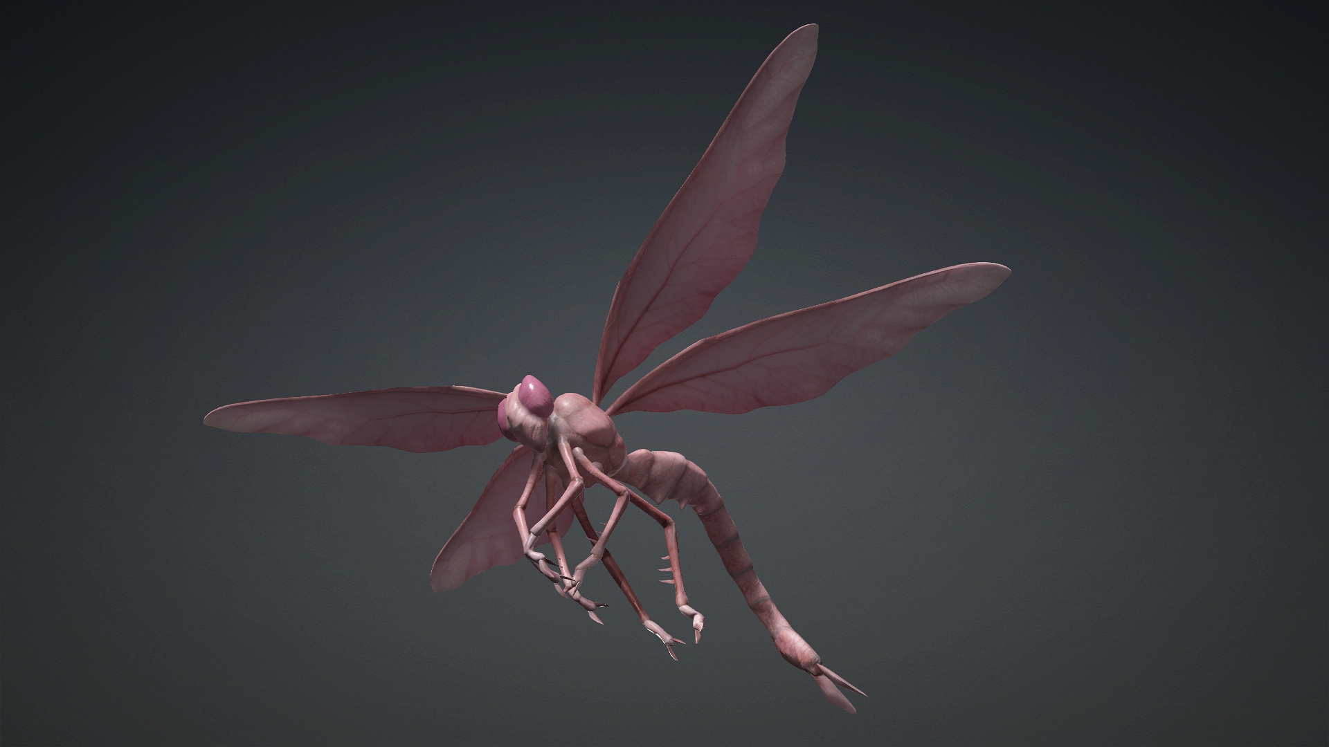 Giant Dragonfly_A3 - Image 12