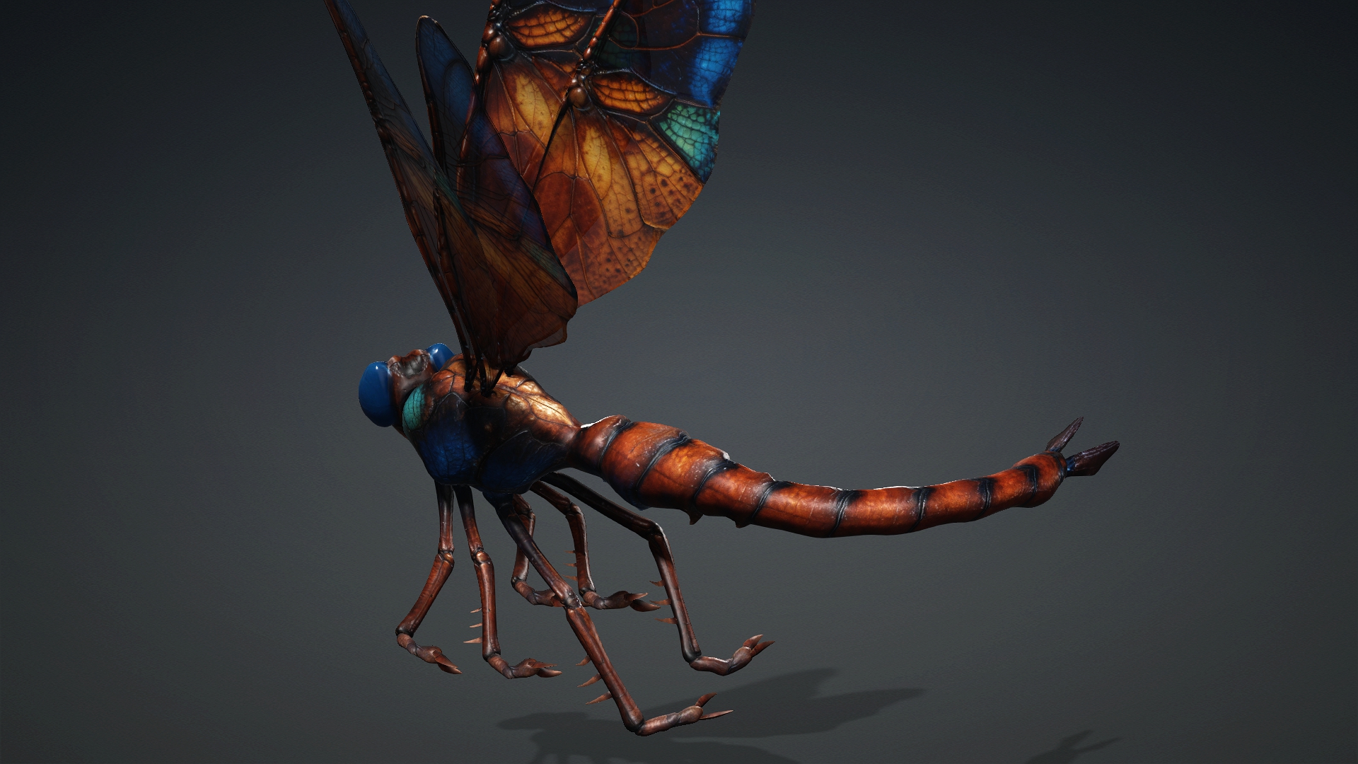 Giant Dragonfly_A4 - Image 12