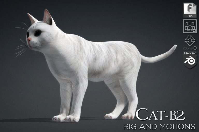 Cat_B2