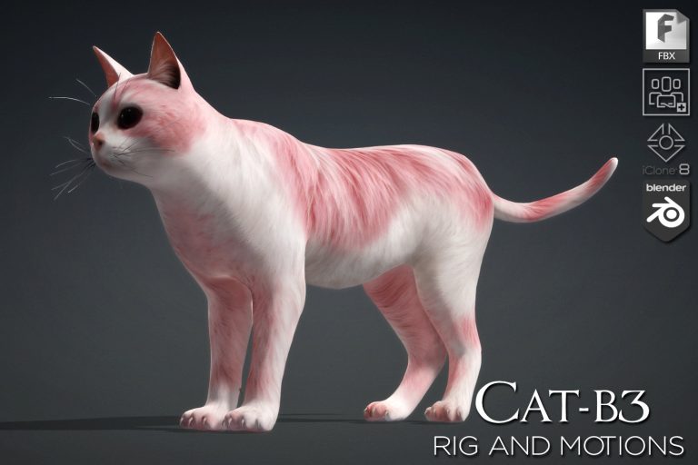 Cat_B3
