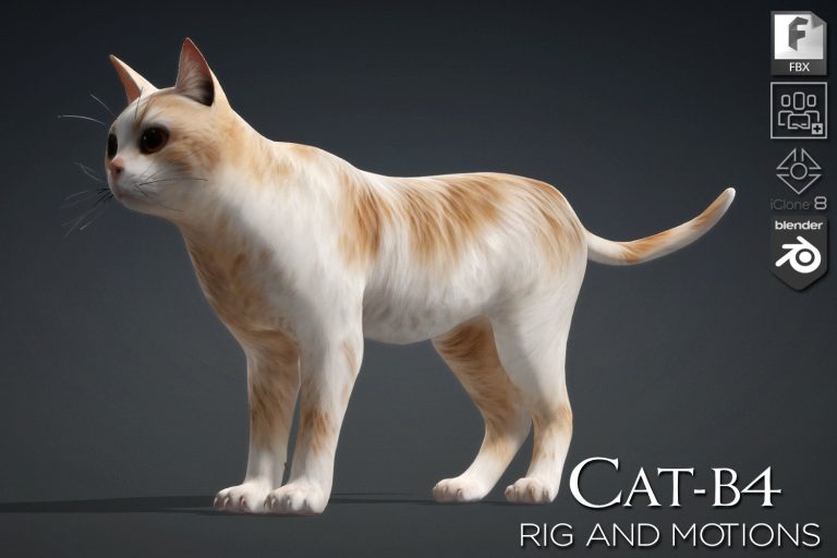 Cat_B4