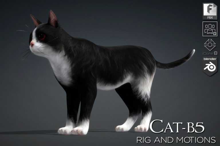Cat_B5