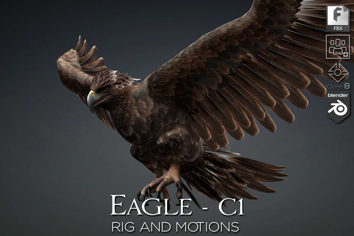 Eagle_C1