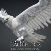 Eagle_C2