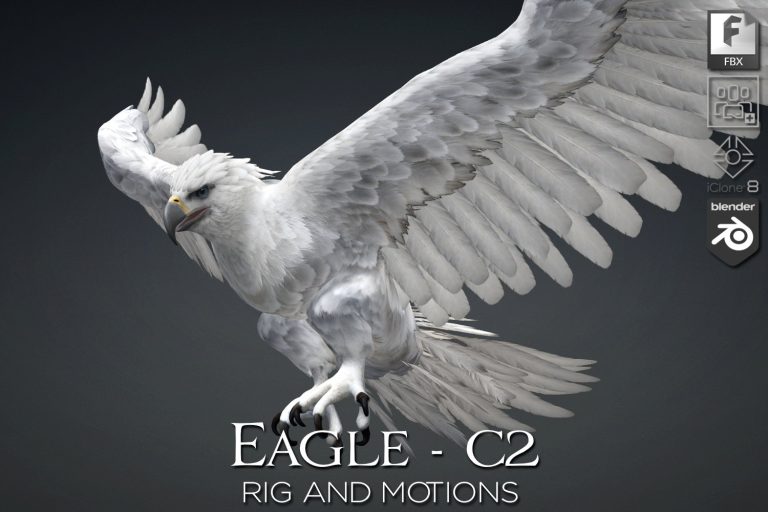 Eagle_C2