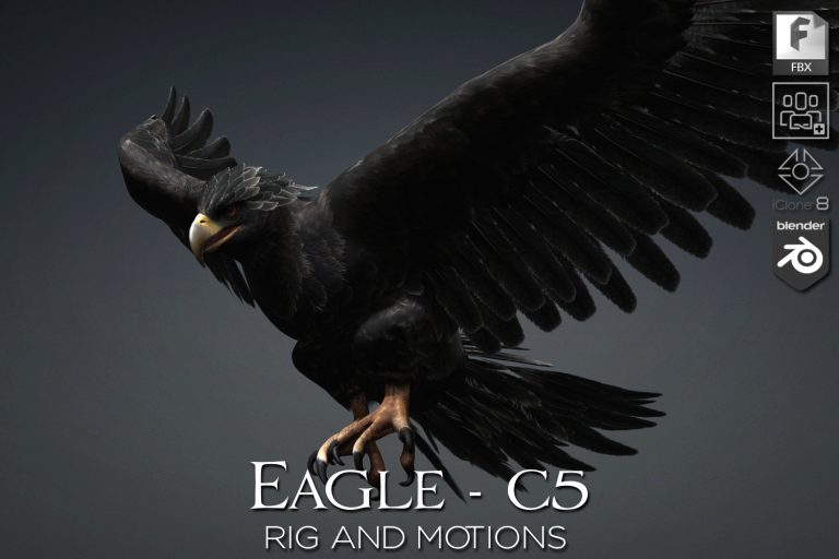 Eagle_C5