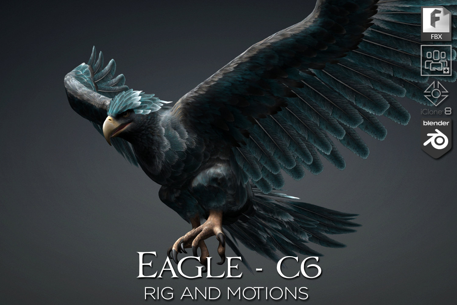 Eagle_C6