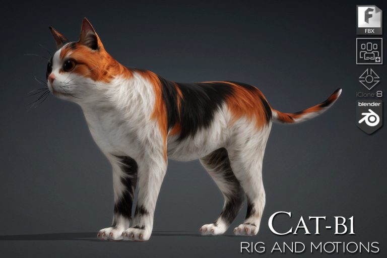 Cat_B1