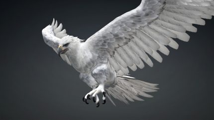 Alternative view of Eagle_C2
