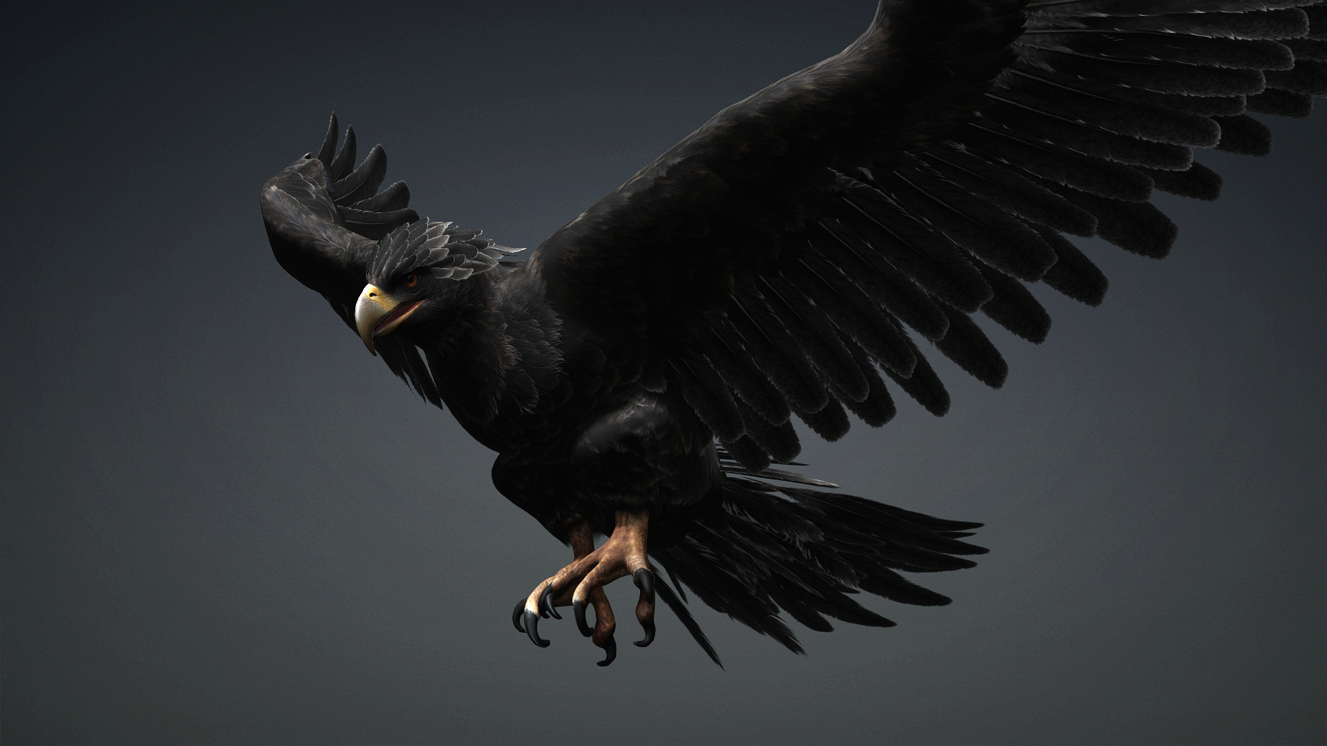 Eagle_C5 - Image 2