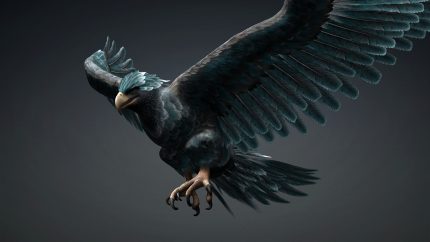 Alternative view of Eagle_C6