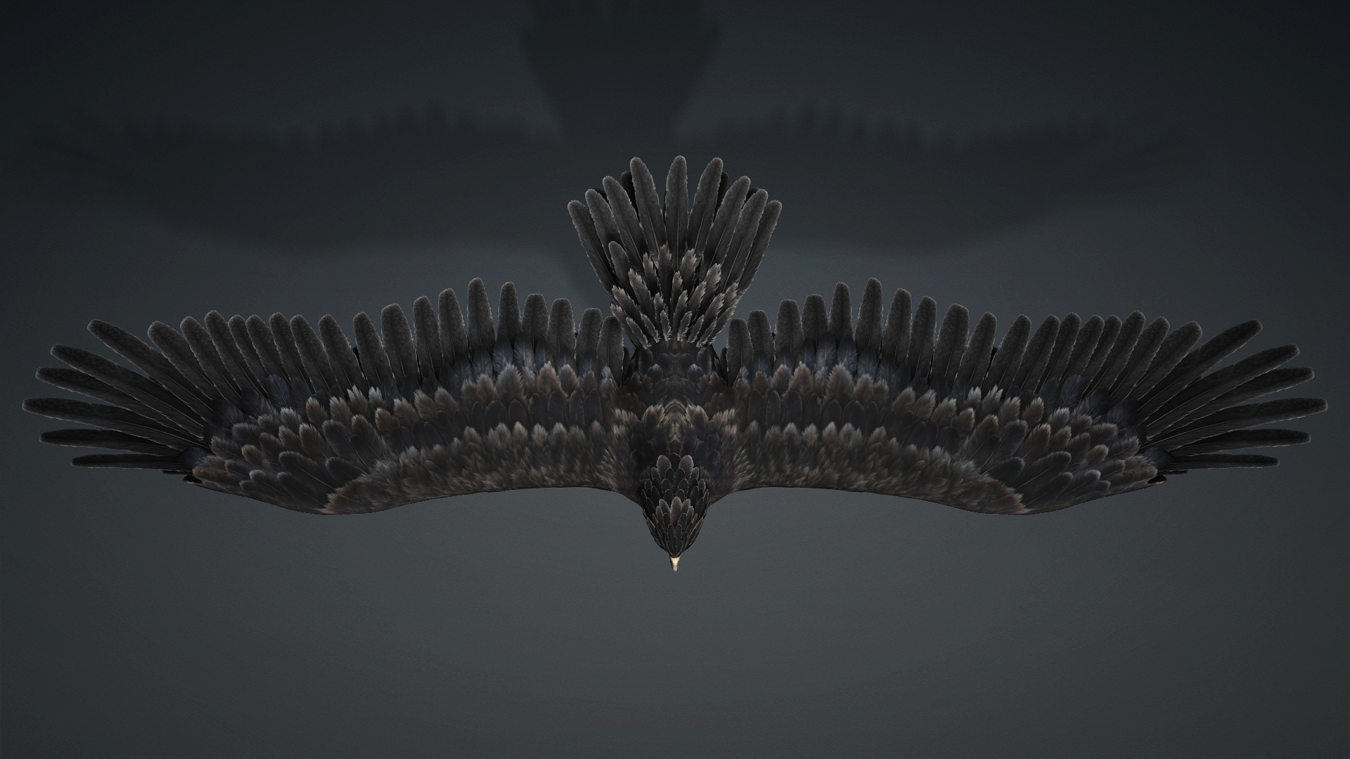 Eagle_C5 - Image 3