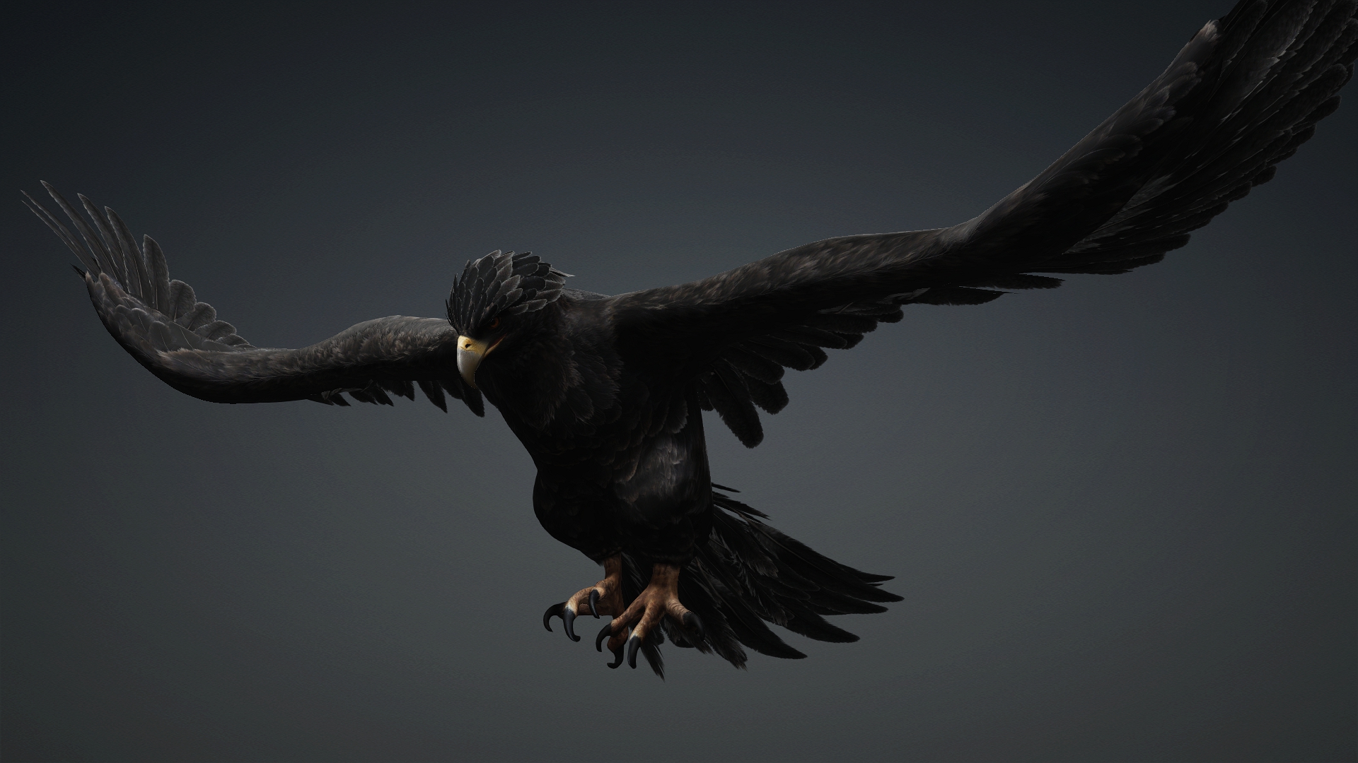 Eagle_C5 - Image 12
