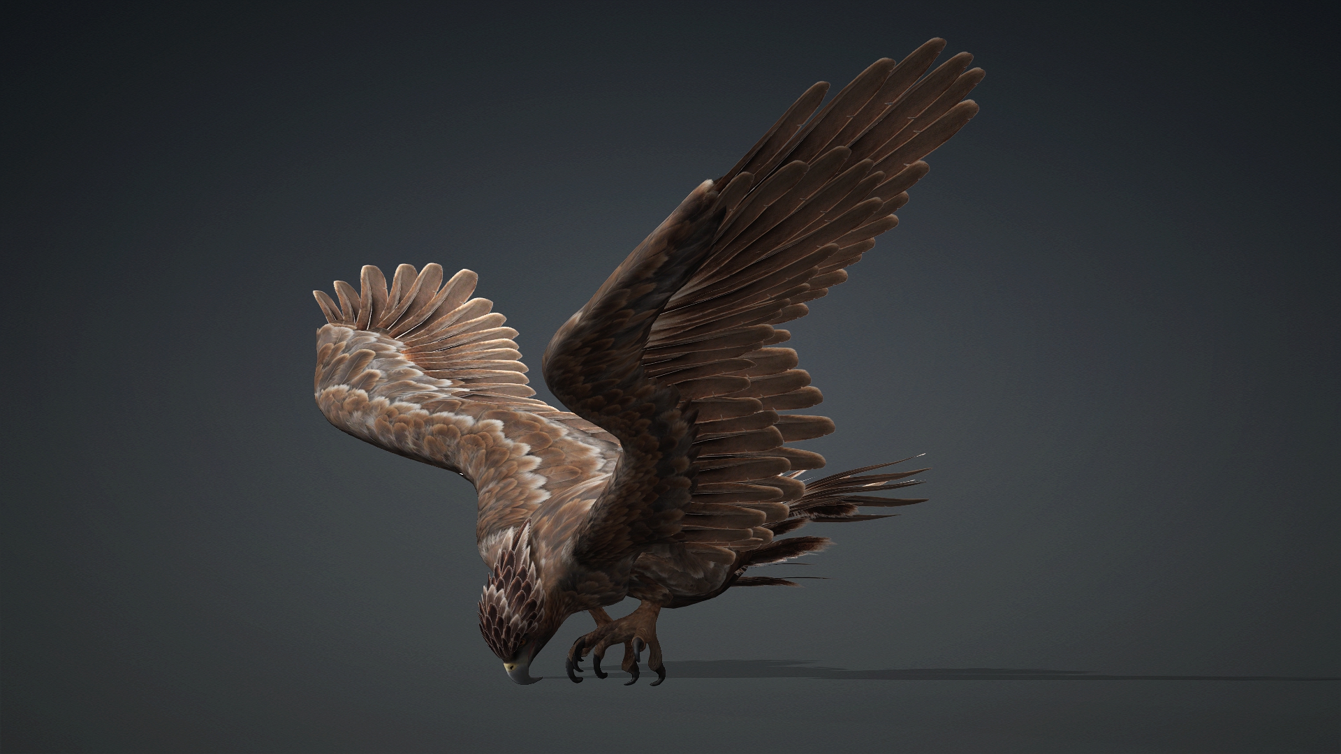Eagle_C1 - Image 13