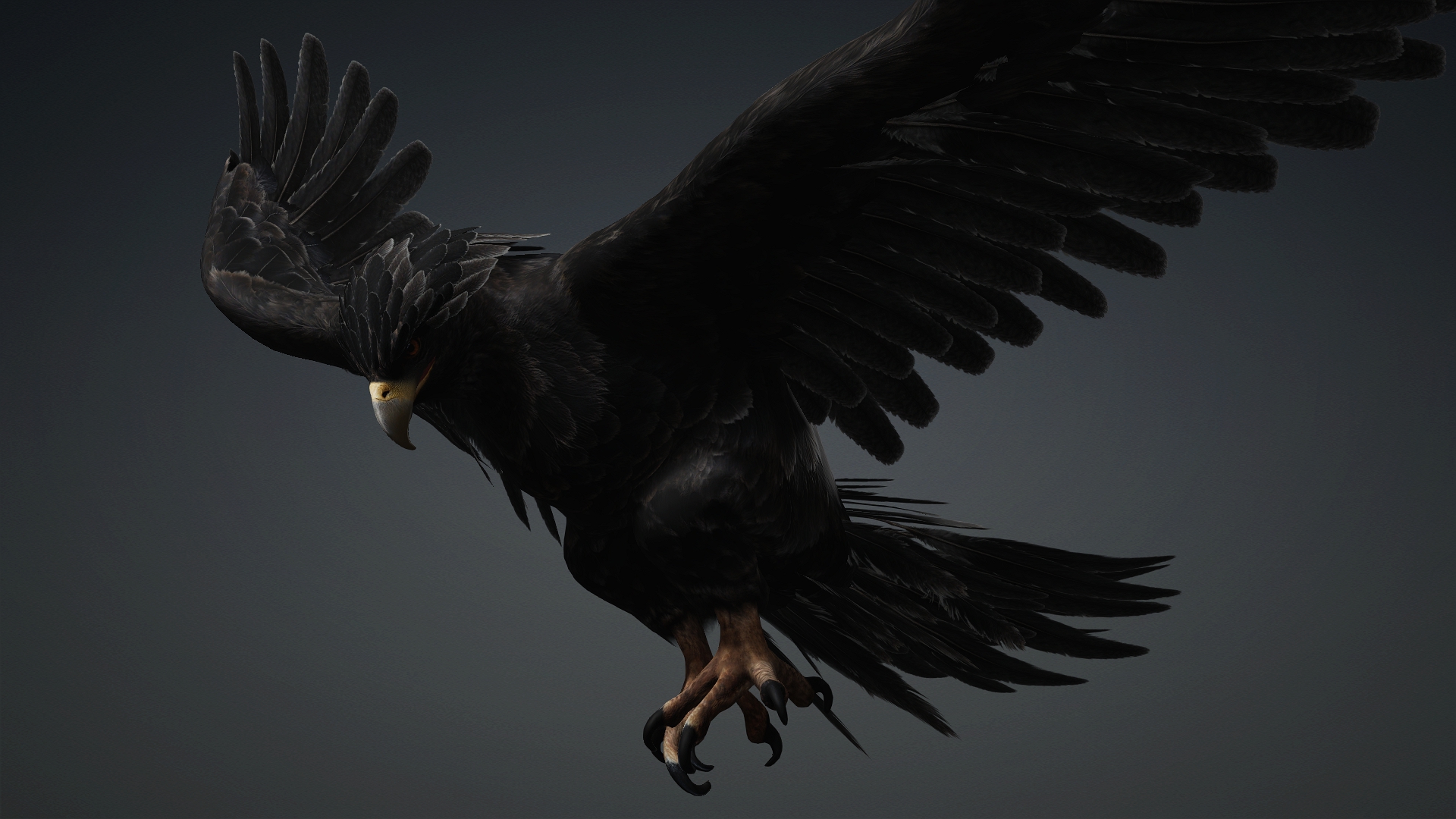 Eagle_C5 - Image 13