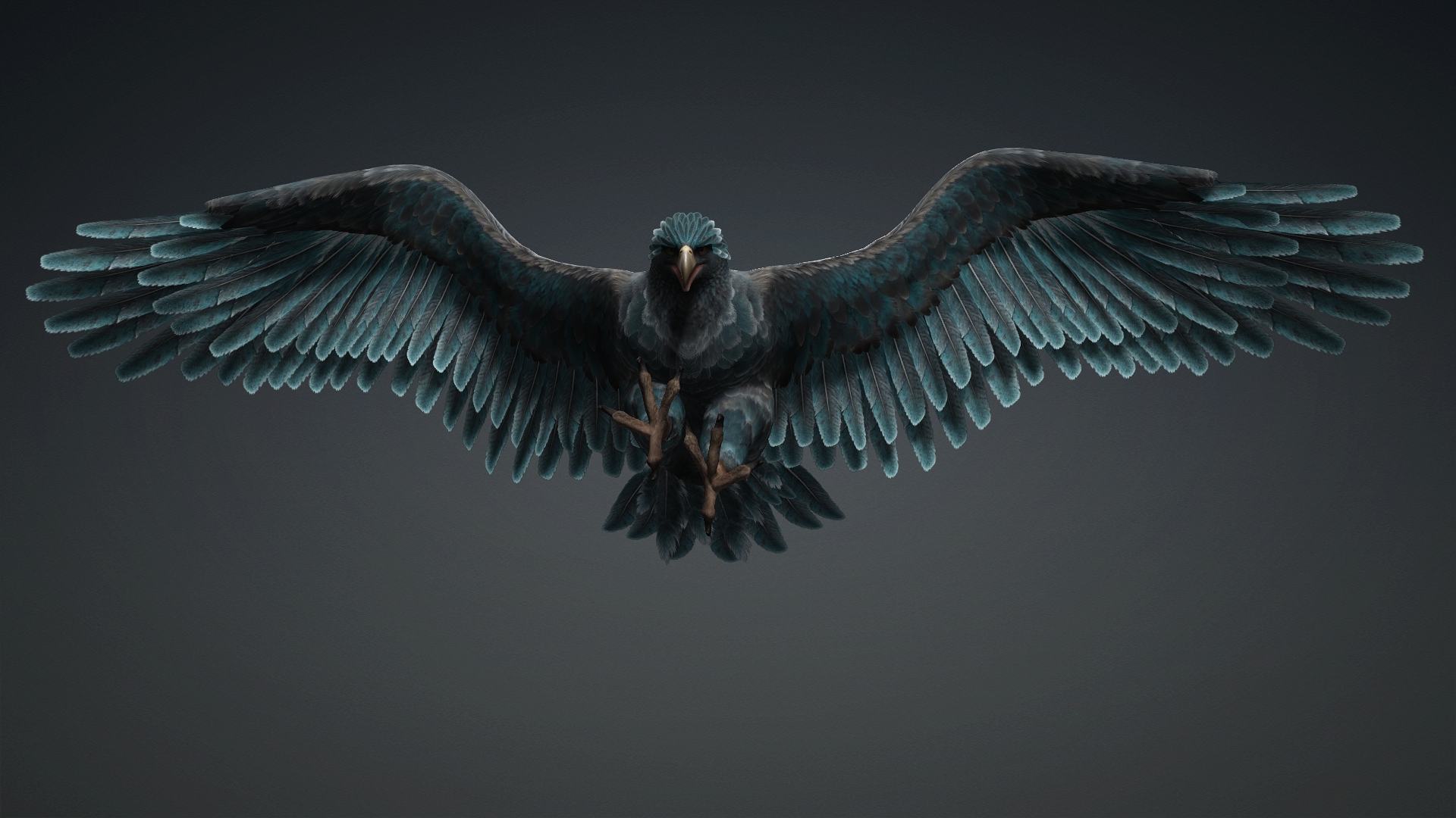 Eagle_C6 - Image 13
