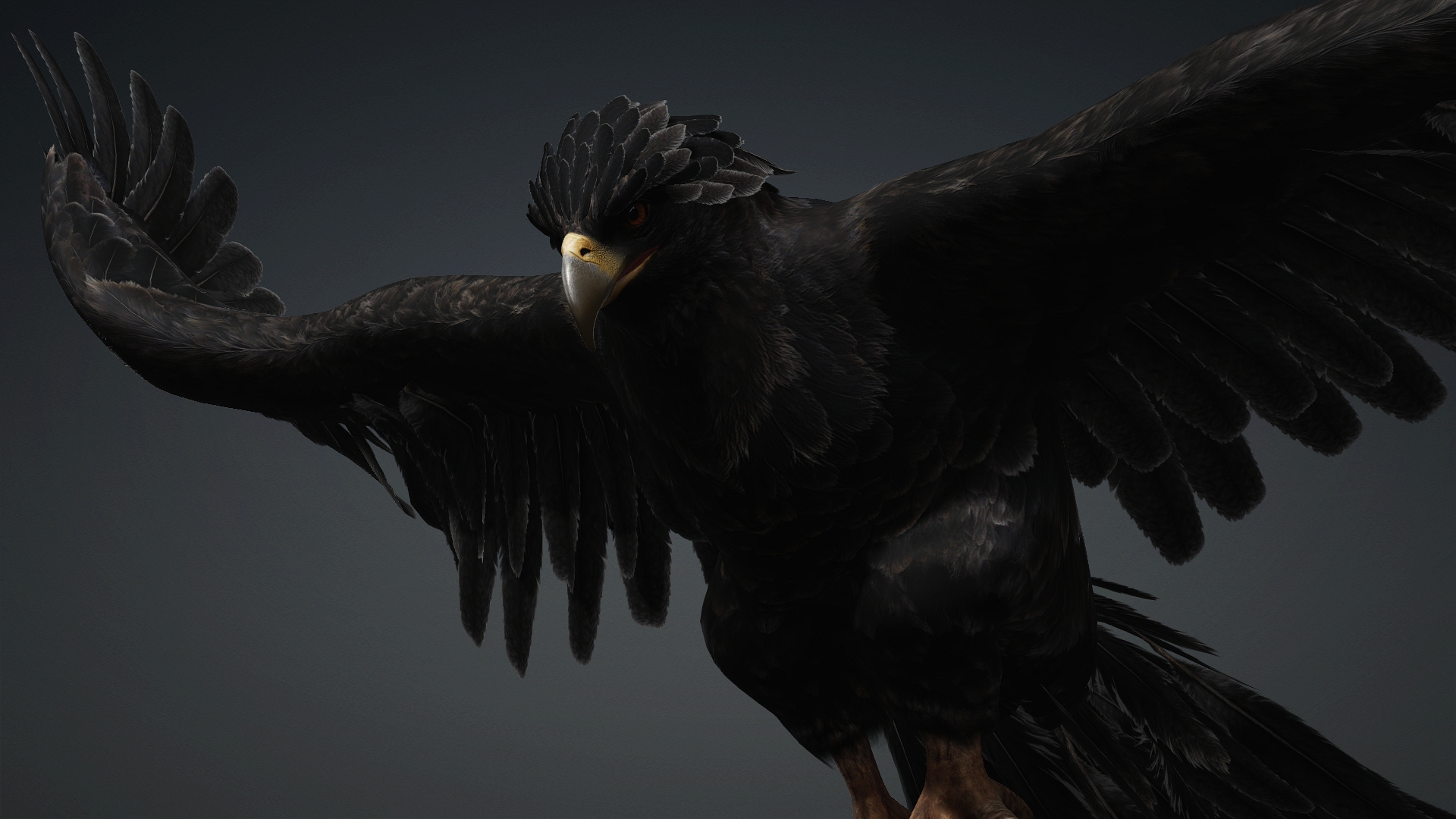 Eagle_C5 - Image 14