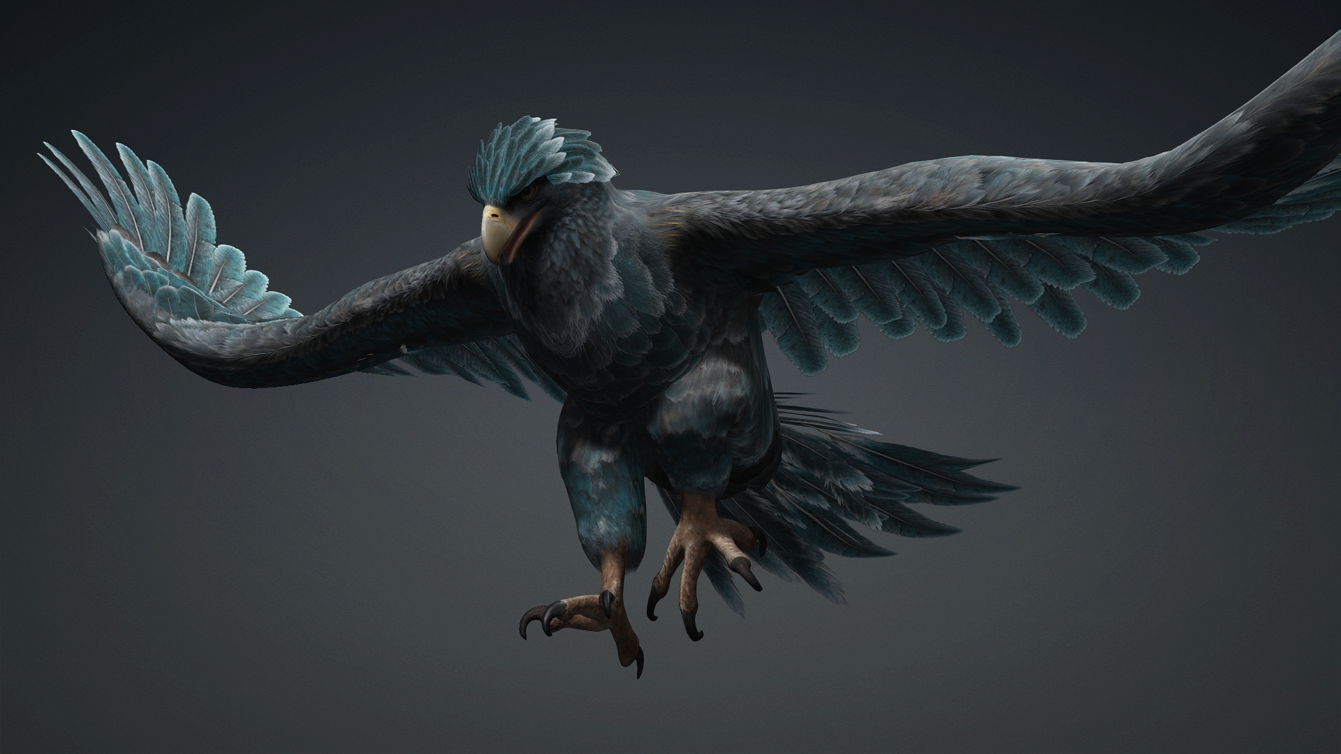 Eagle_C6 - Image 15