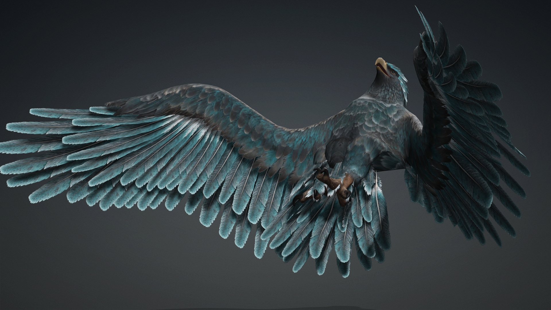 Eagle_C6 - Image 16