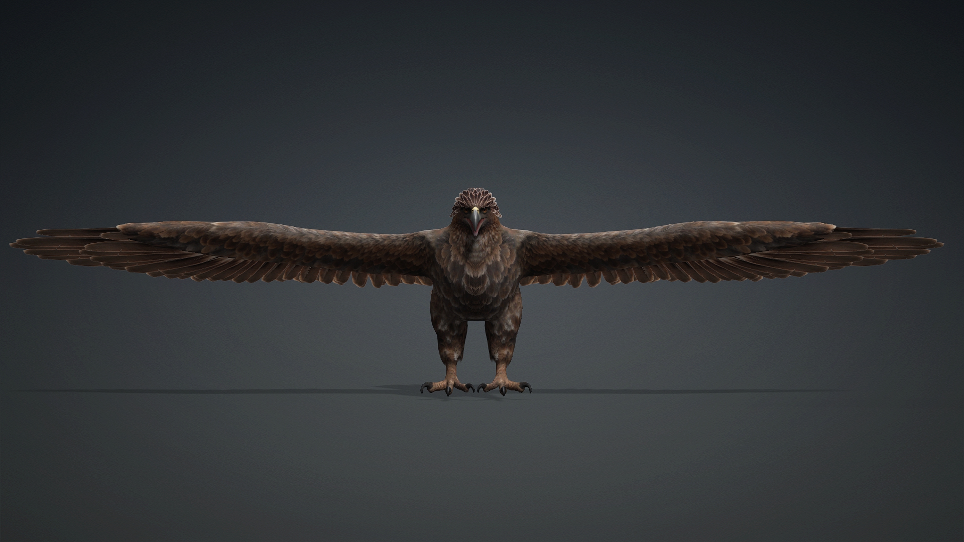 Eagle_C1 - Image 4
