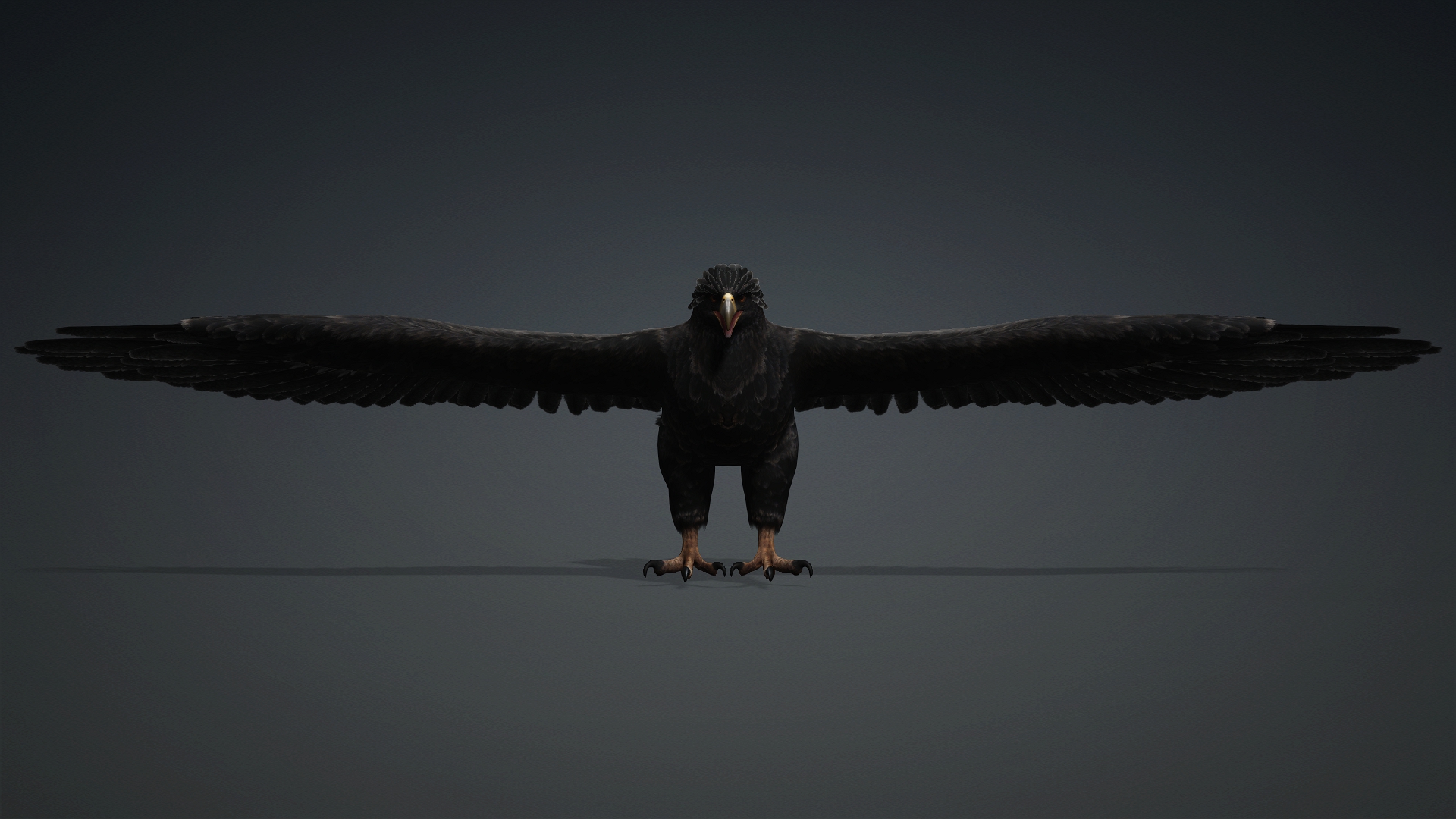 Eagle_C5 - Image 4