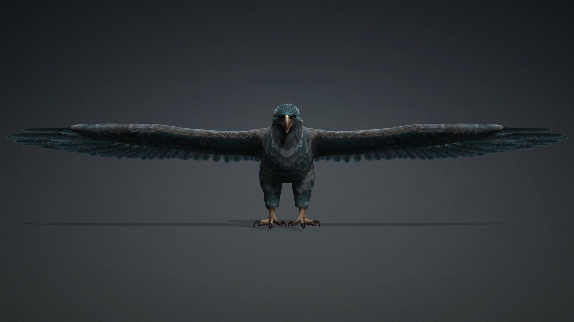 Eagle_C6 - Image 4