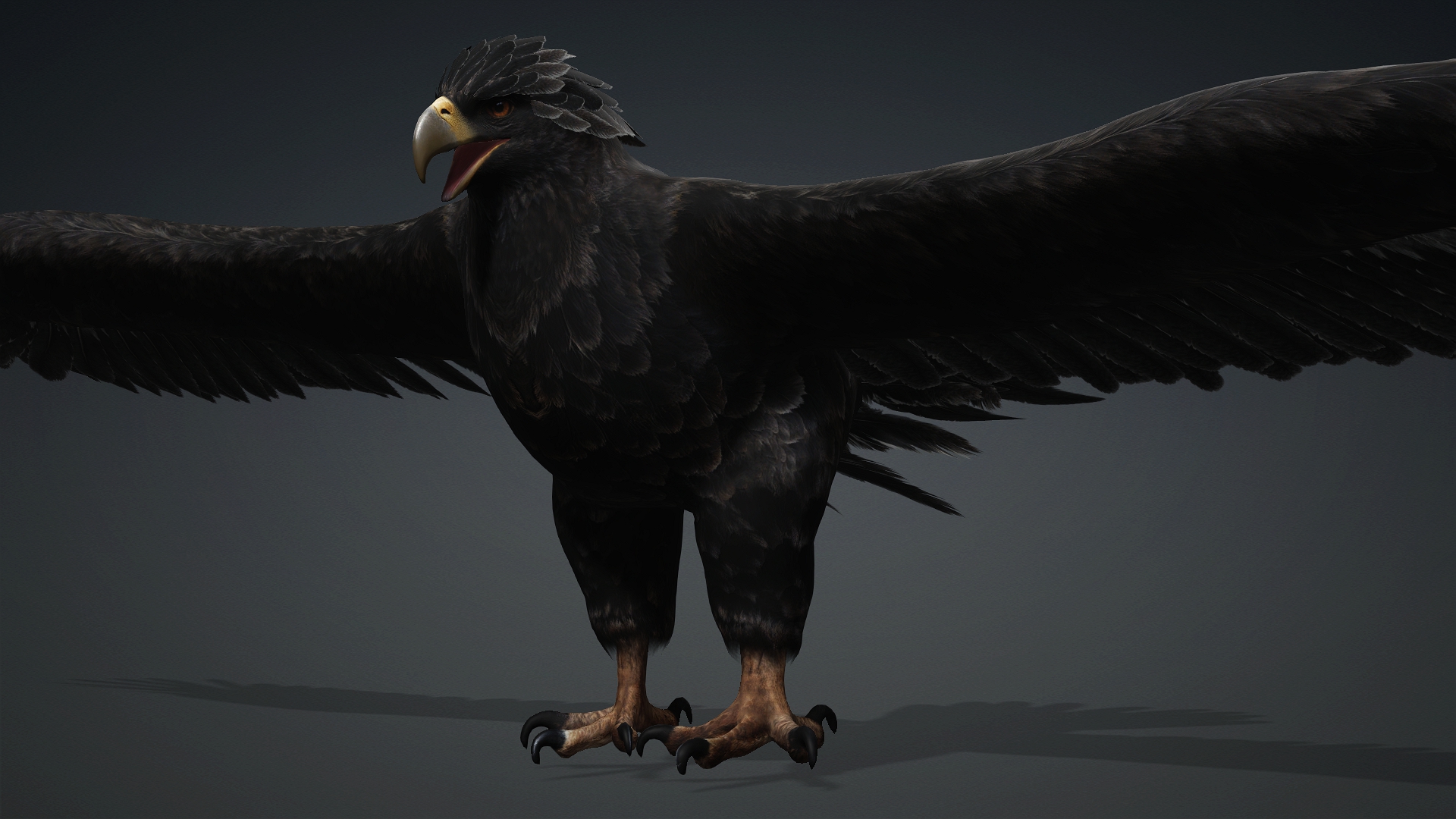 Eagle_C5 - Image 5