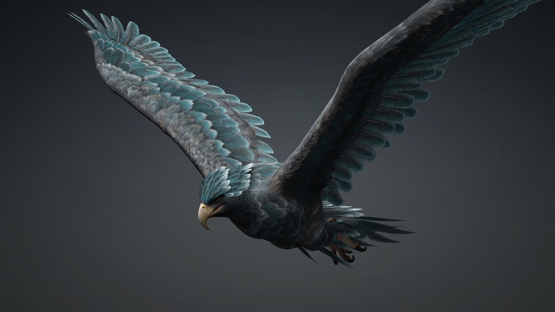 Eagle_C6 - Image 6