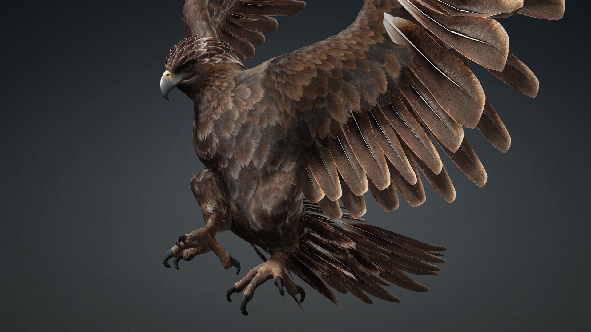 Eagle_C1 - Image 7