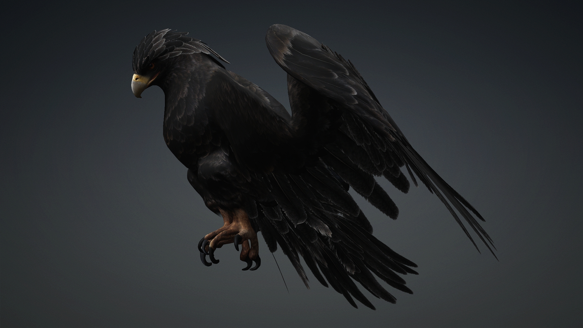 Eagle_C5 - Image 7