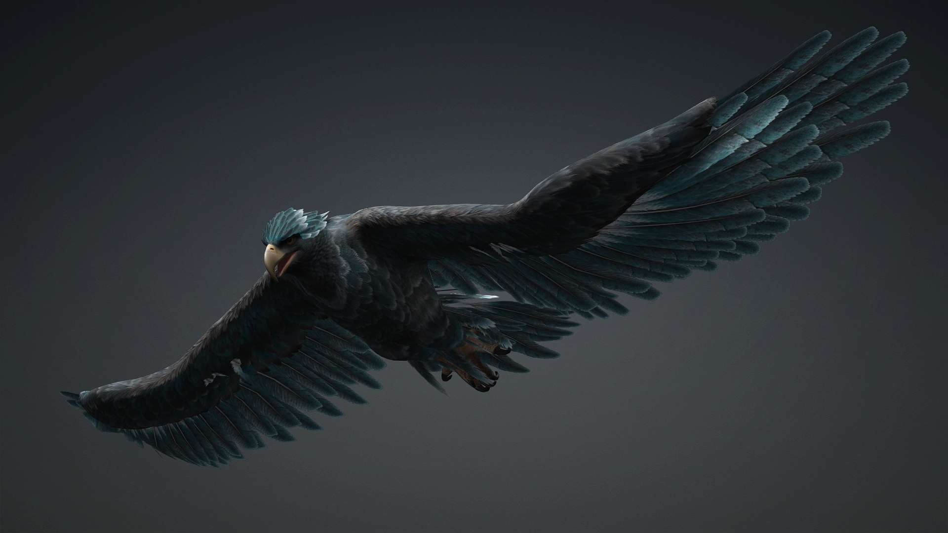 Eagle_C6 - Image 7