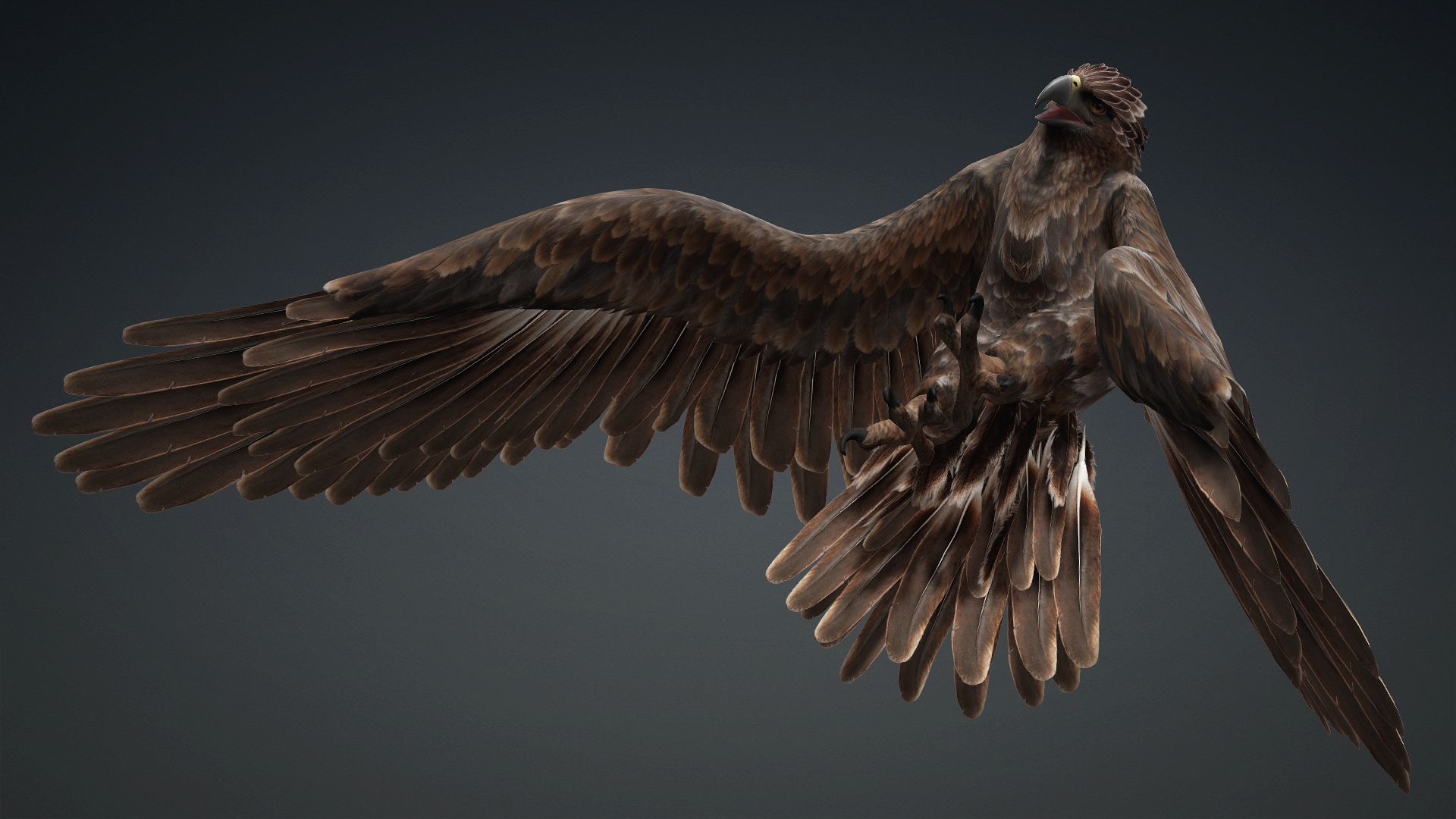 Eagle_C1 - Image 9