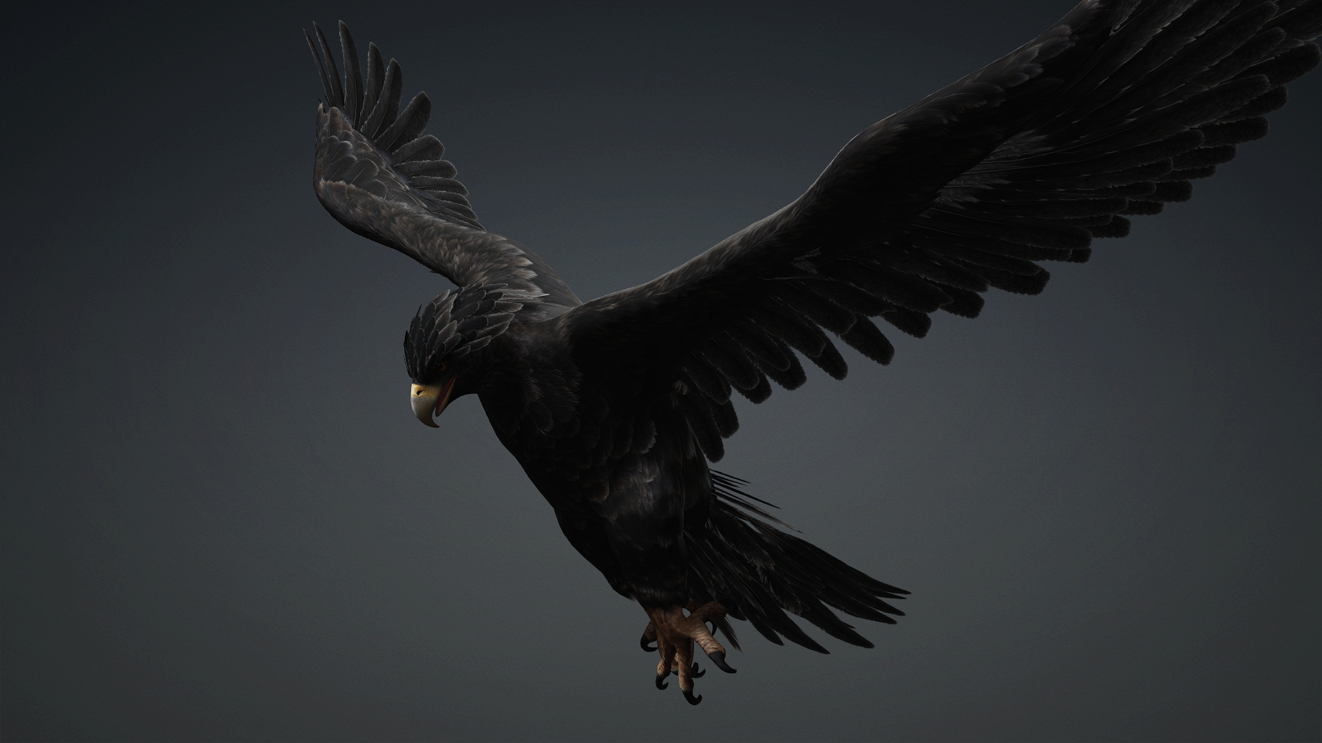 Eagle_C5 - Image 9