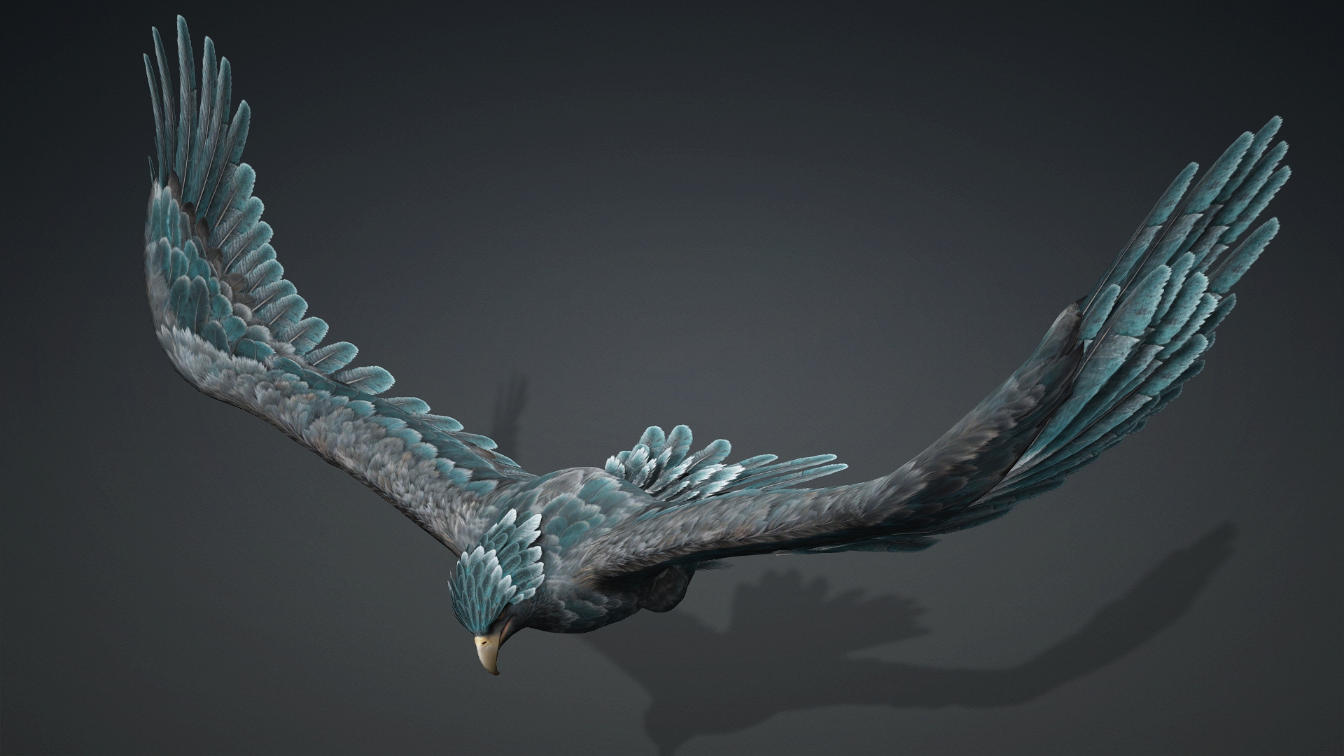Eagle_C6 - Image 9