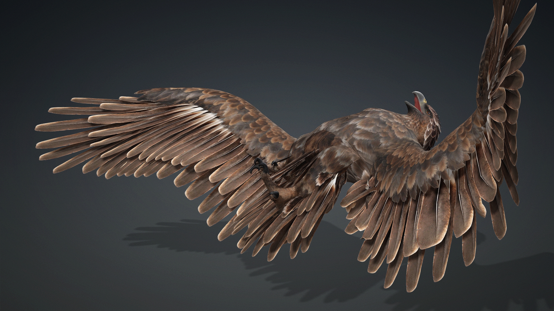 Eagle_C1 - Image 10