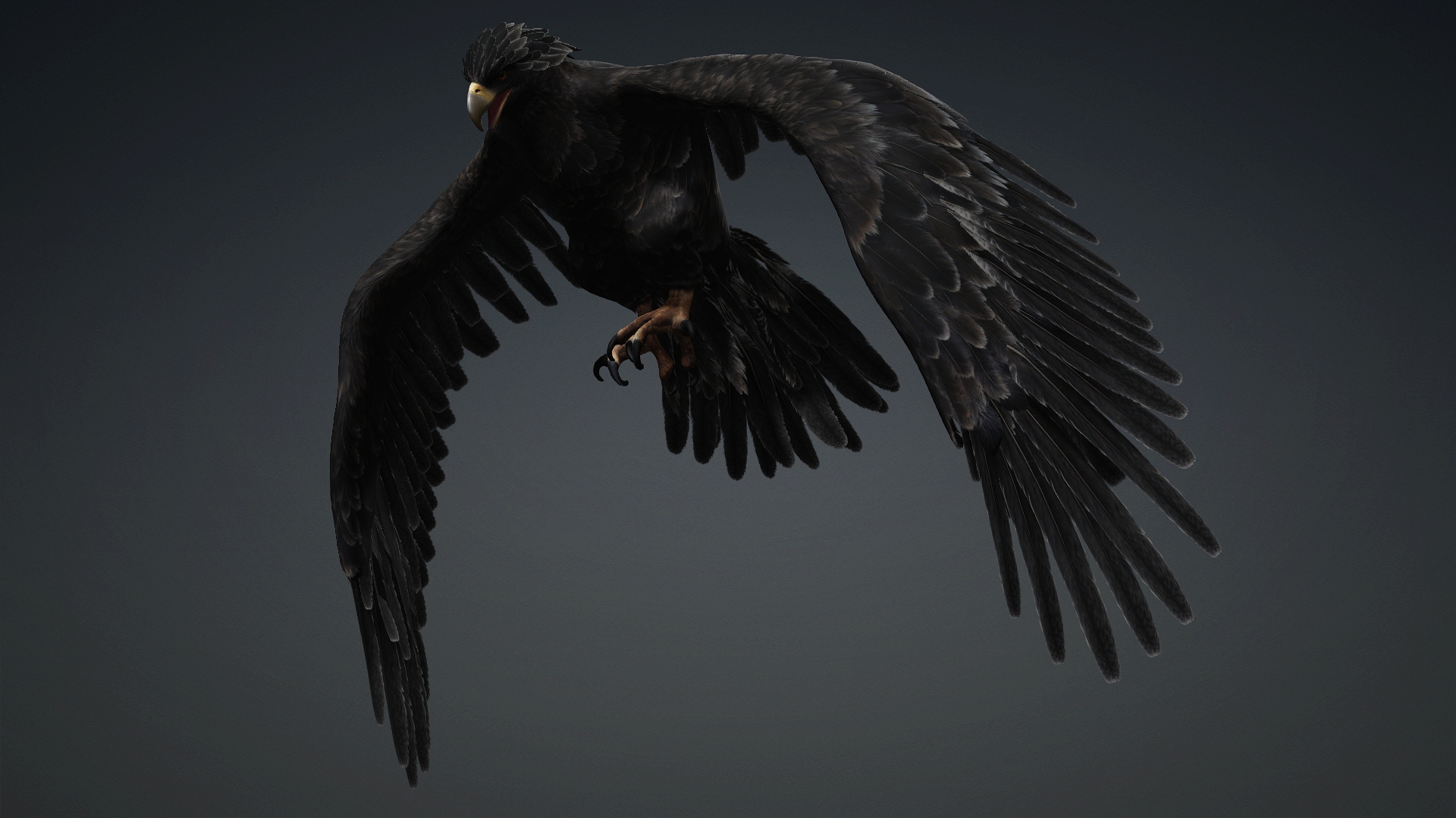 Eagle_C5 - Image 10