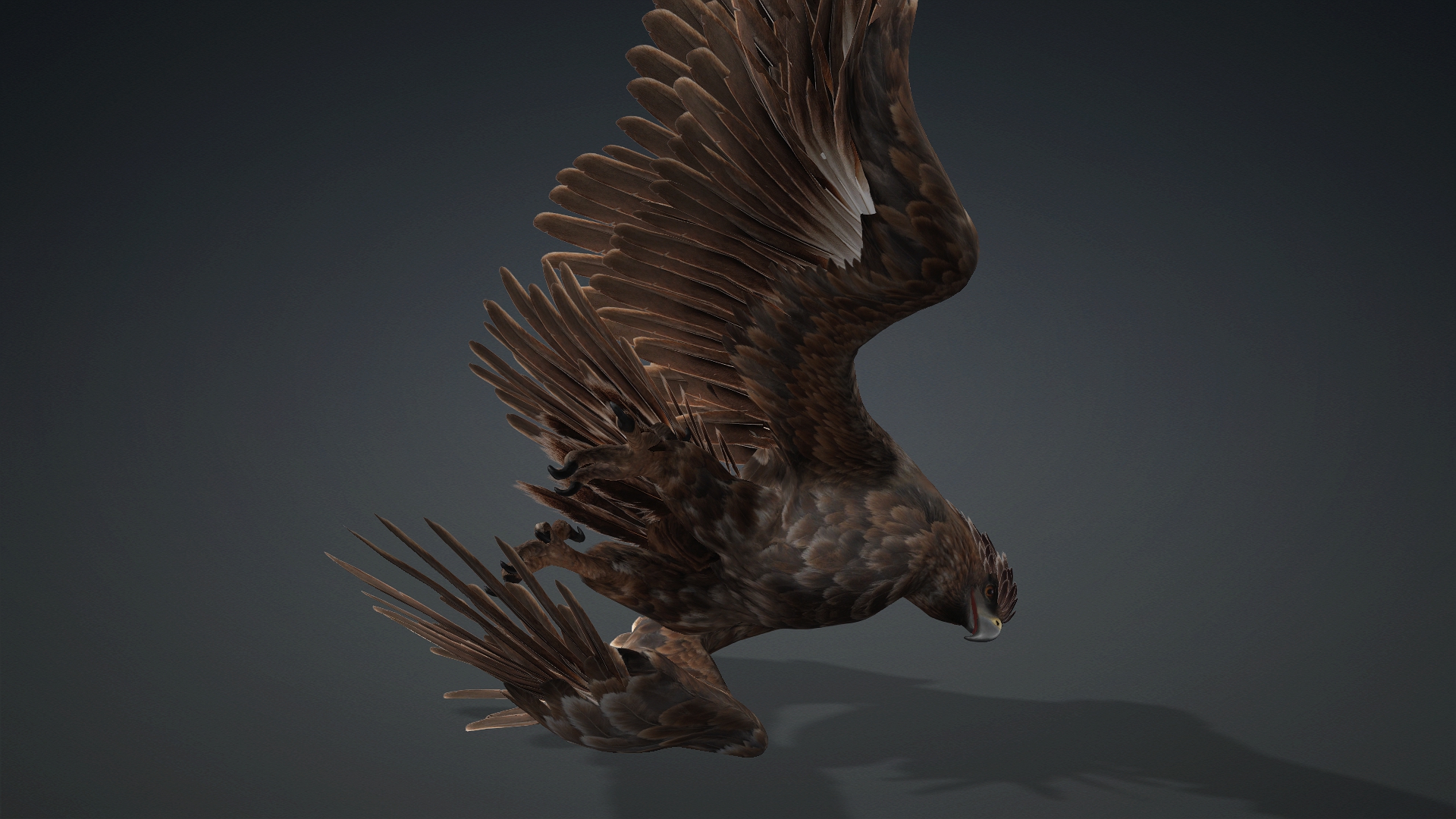 Eagle_C1 - Image 11