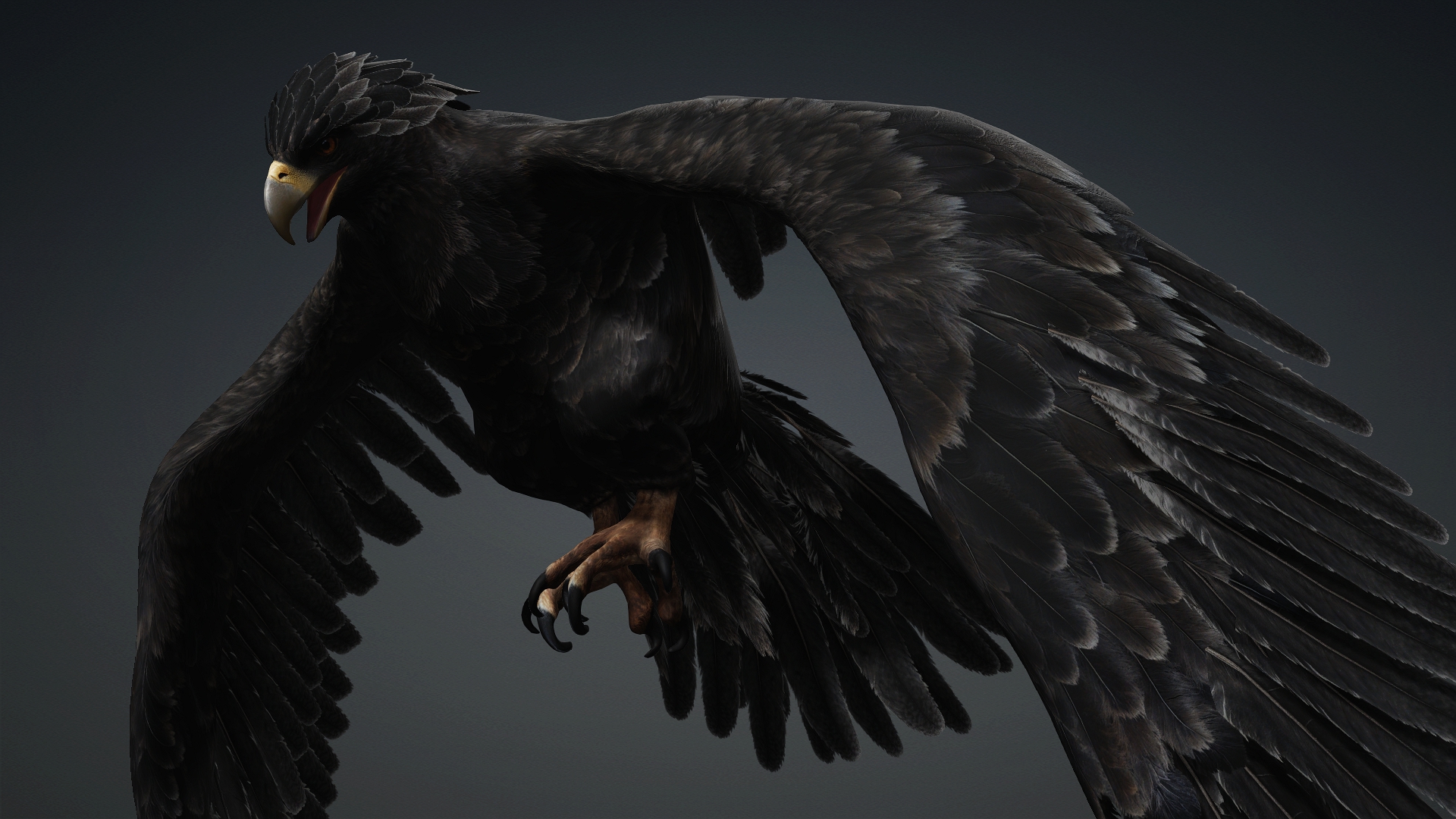 Eagle_C5 - Image 11