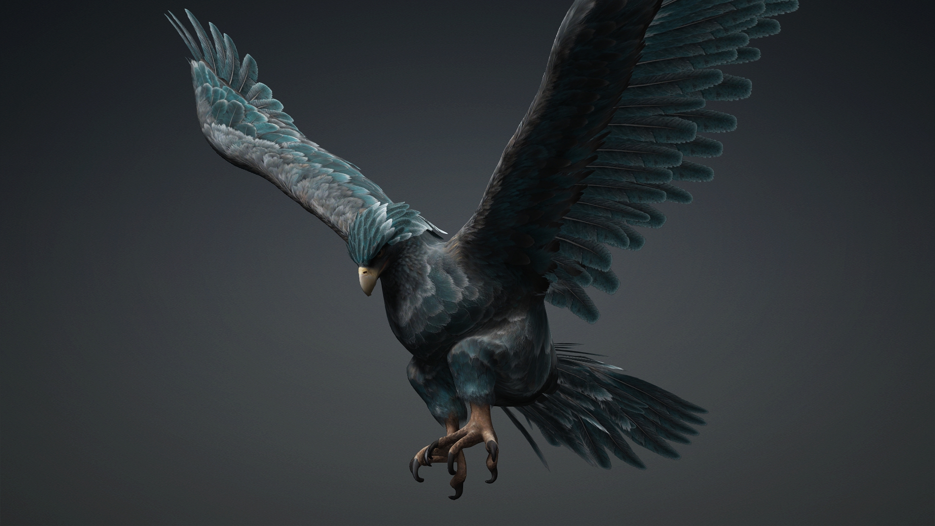 Eagle_C6 - Image 11