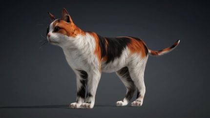 Alternative view of Cat_B1