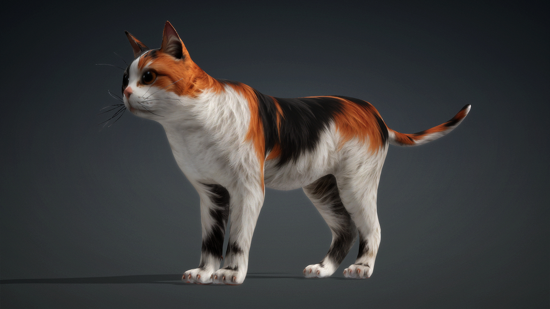 Cat_B1 - Image 2
