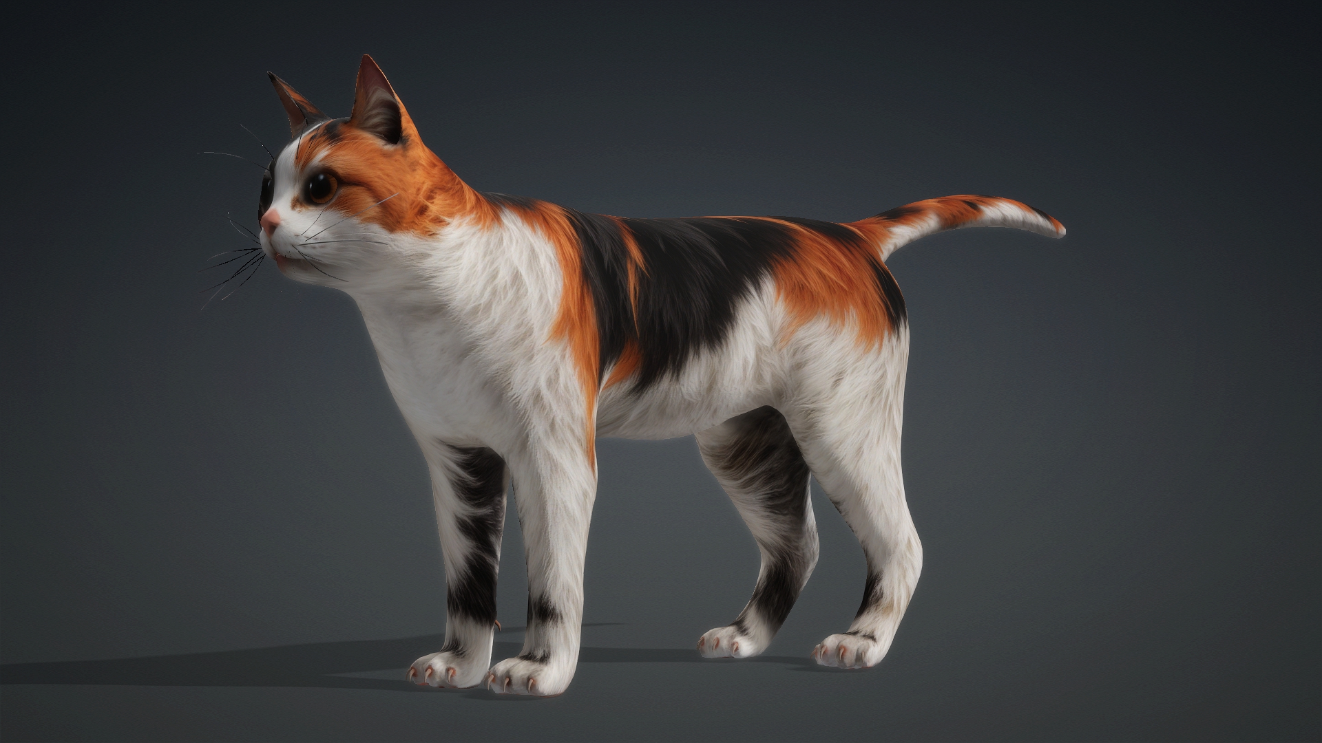 Cat_B1 - Image 3