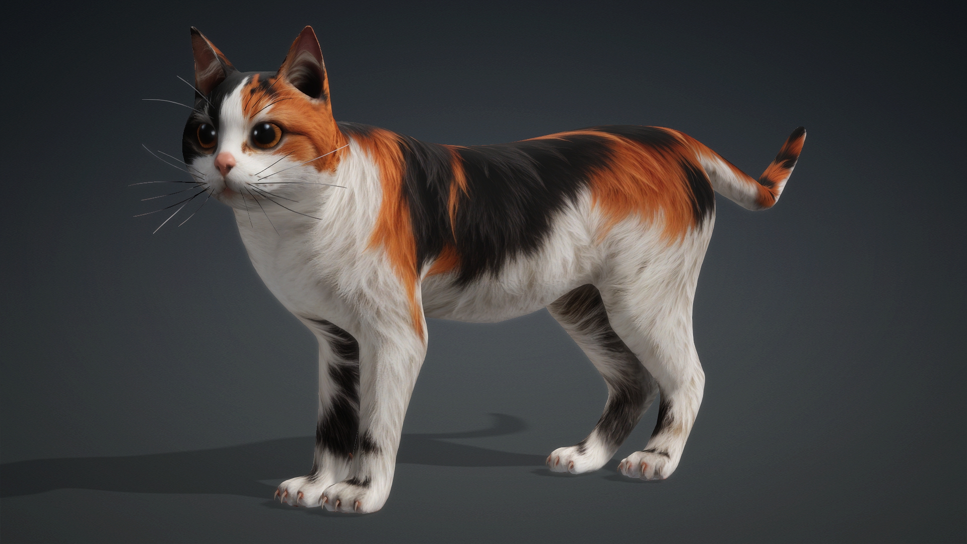 Cat_B1 - Image 12