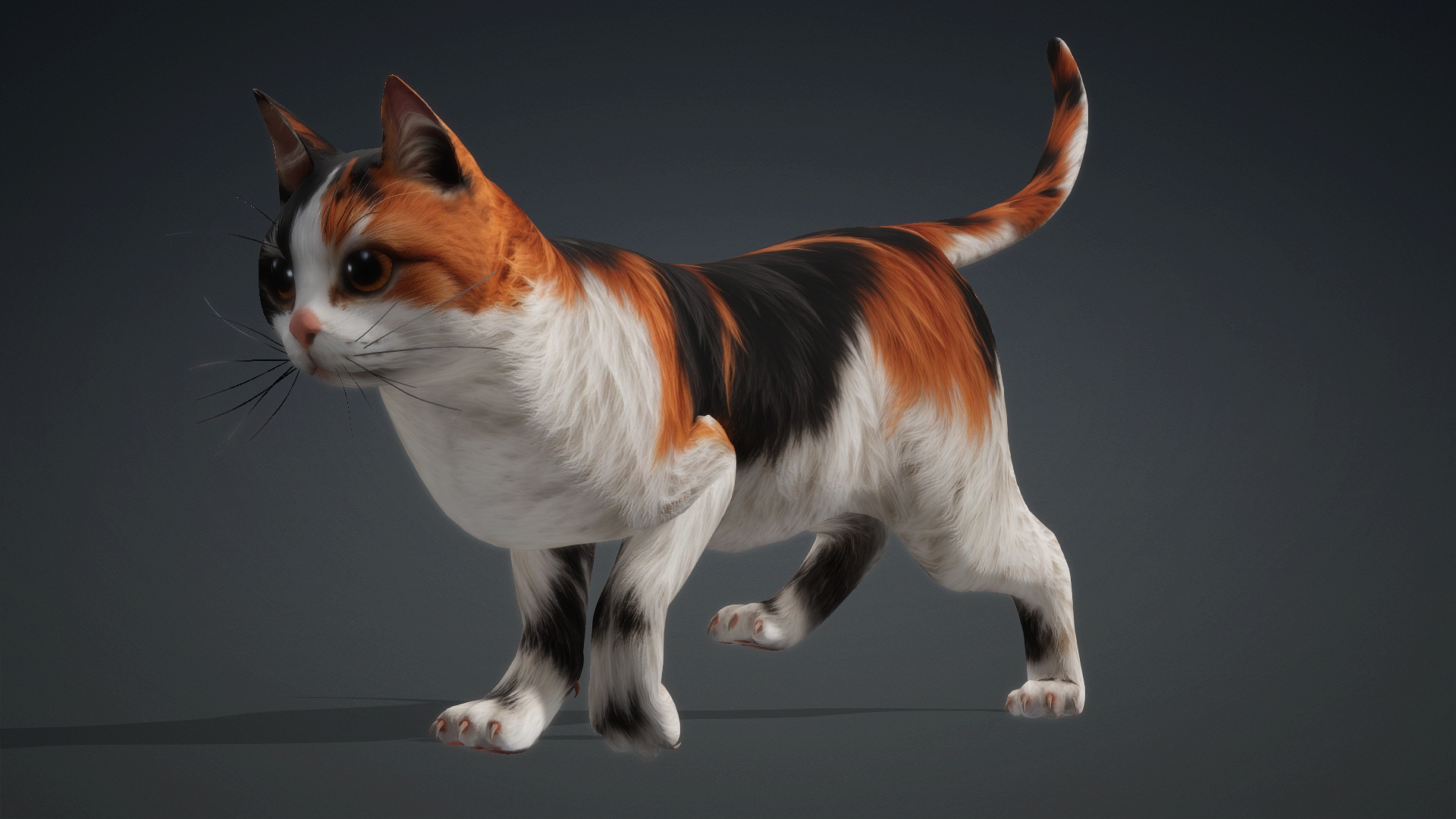 Cat_B1 - Image 13