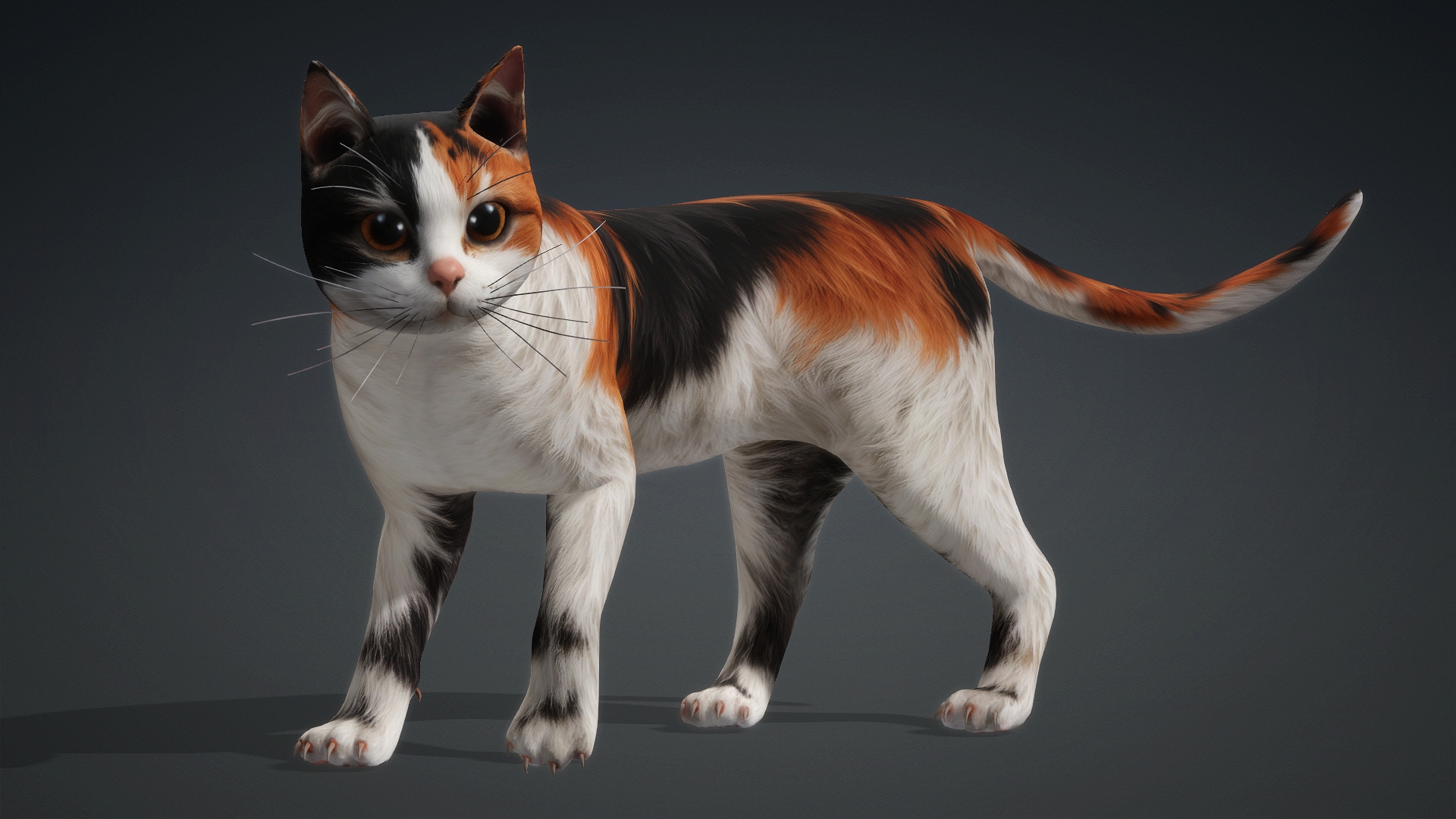 Cat_B1 - Image 15