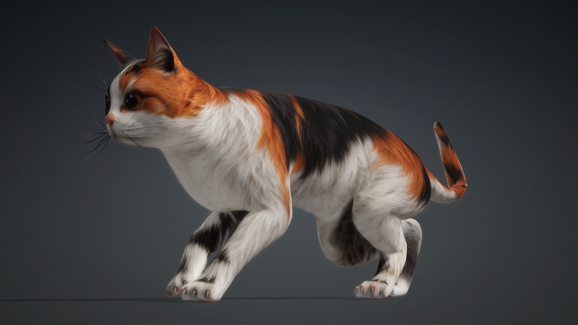 Cat_B1 - Image 17