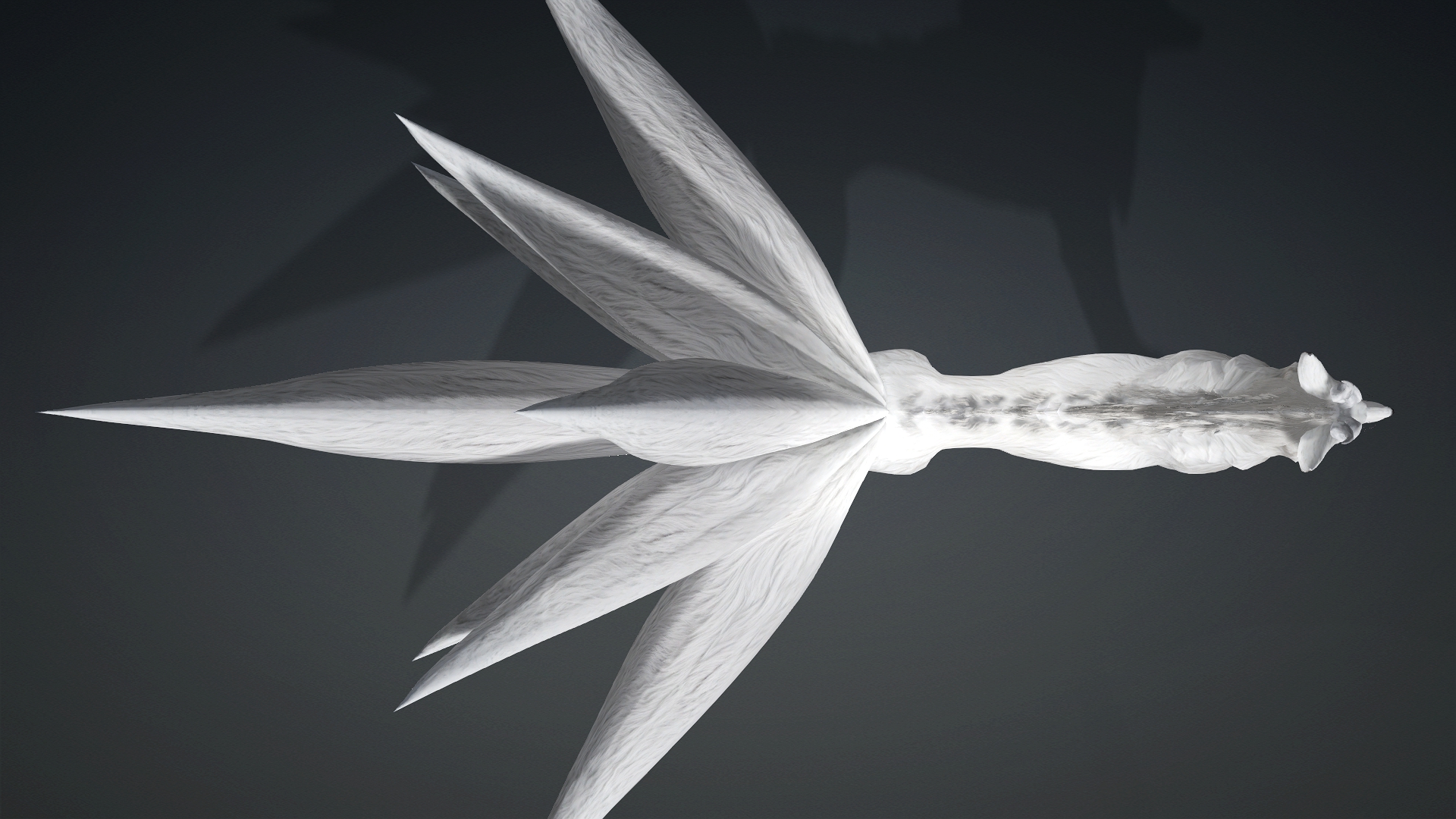 Fox White Moon_D2 - Image 6