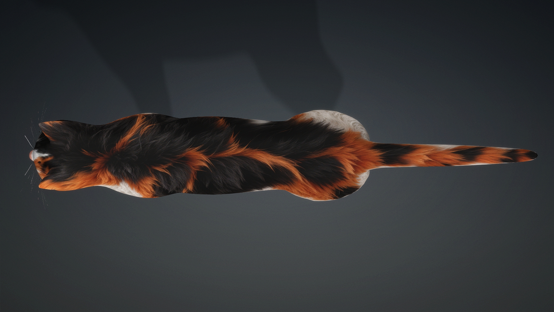 Cat_B1 - Image 6