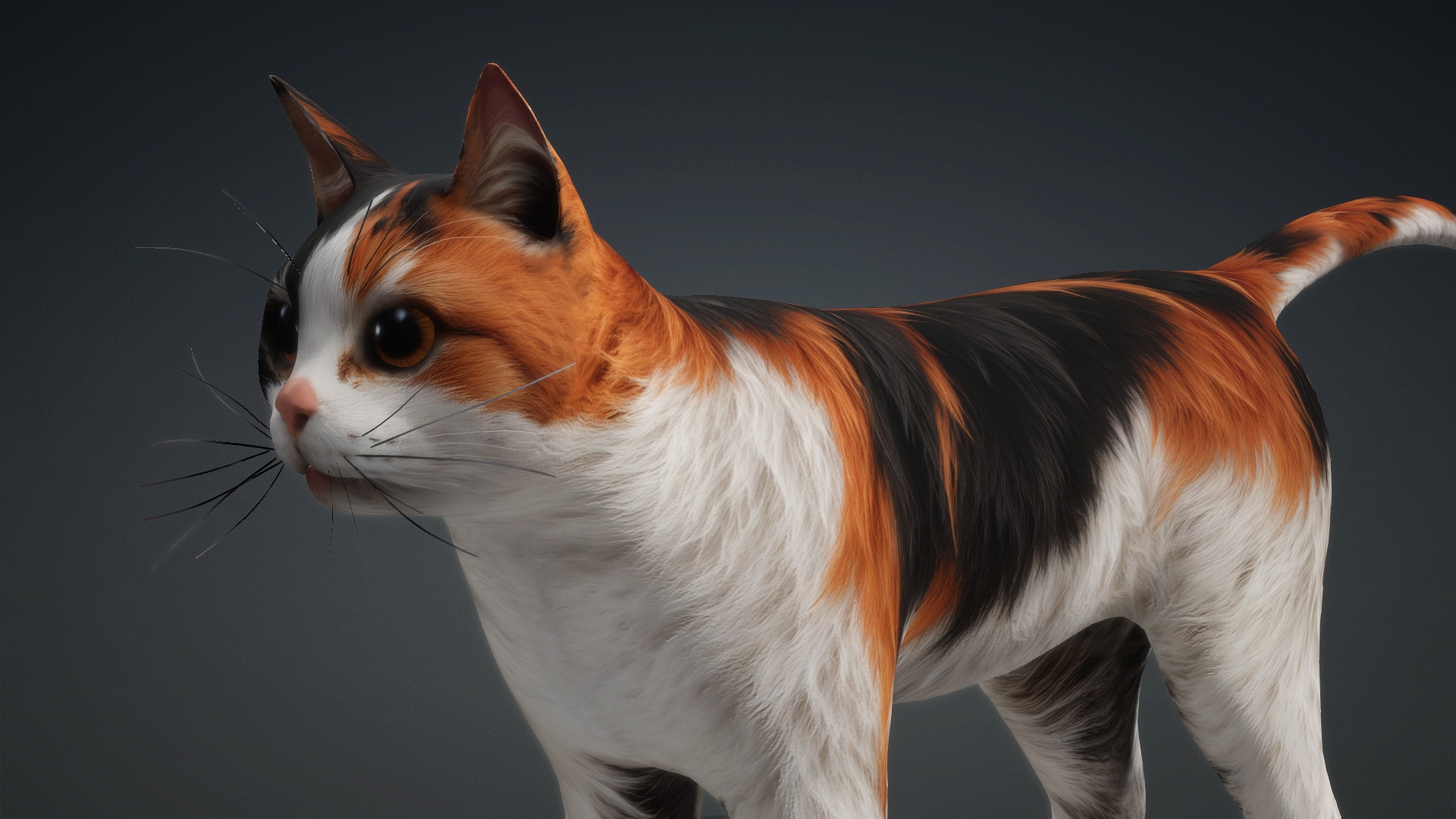 Cat_B1 - Image 7
